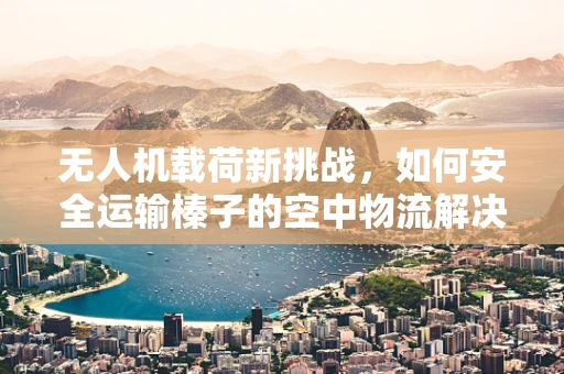 无人机载荷新挑战，如何安全运输榛子的空中物流解决方案？