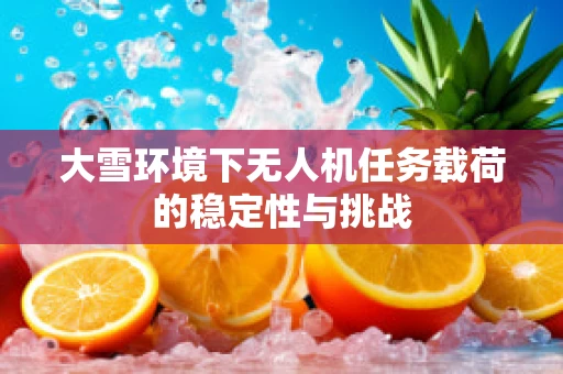 大雪环境下无人机任务载荷的稳定性与挑战