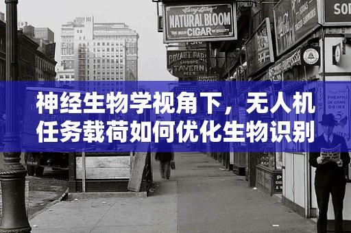 神经生物学视角下，无人机任务载荷如何优化生物识别能力？