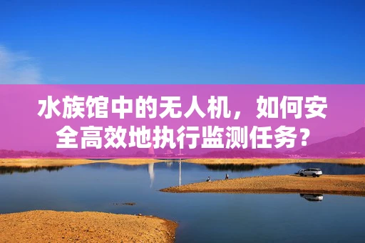 水族馆中的无人机，如何安全高效地执行监测任务？