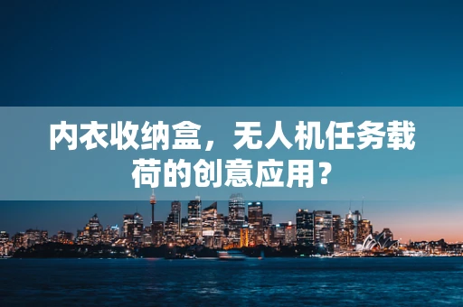 内衣收纳盒，无人机任务载荷的创意应用？