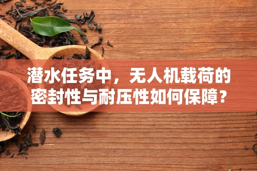 潜水任务中，无人机载荷的密封性与耐压性如何保障？