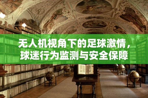 无人机视角下的足球激情，球迷行为监测与安全保障
