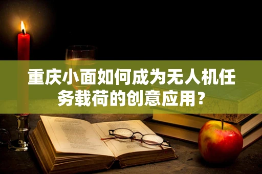 重庆小面如何成为无人机任务载荷的创意应用？
