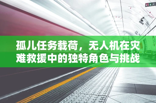 孤儿任务载荷，无人机在灾难救援中的独特角色与挑战