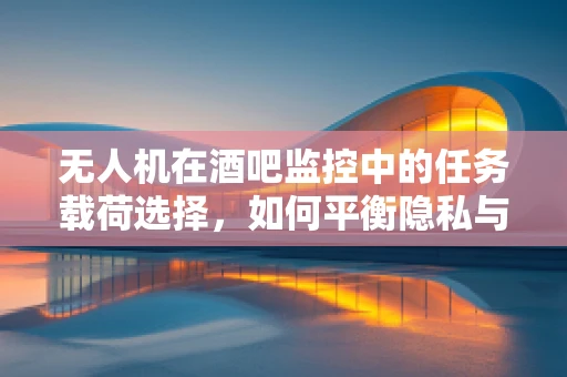 无人机在酒吧监控中的任务载荷选择，如何平衡隐私与安全？