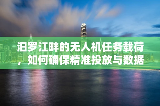 汨罗江畔的无人机任务载荷，如何确保精准投放与数据传输？