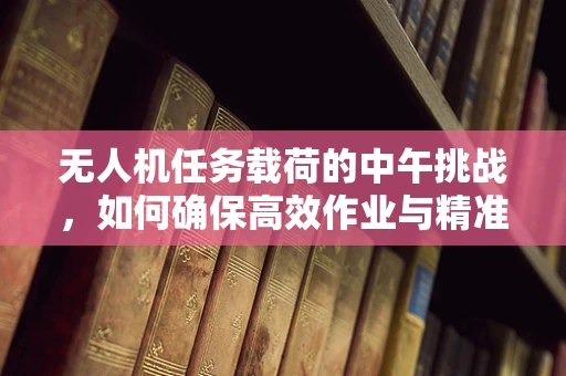 无人机任务载荷的中午挑战，如何确保高效作业与精准控制？