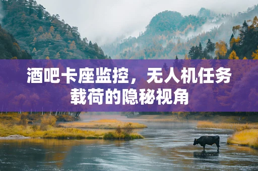 酒吧卡座监控，无人机任务载荷的隐秘视角