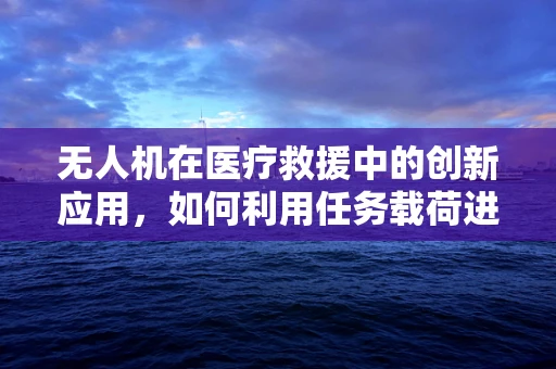 无人机在医疗救援中的创新应用，如何利用任务载荷进行阑尾炎患者的快速识别与追踪？