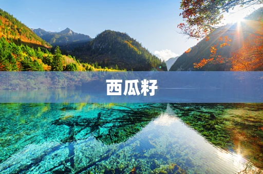 西瓜籽