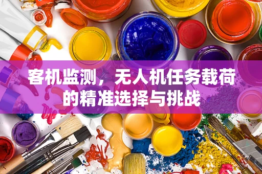 客机监测，无人机任务载荷的精准选择与挑战
