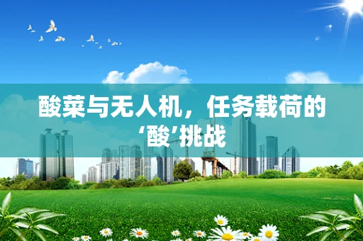 酸菜与无人机，任务载荷的‘酸’挑战