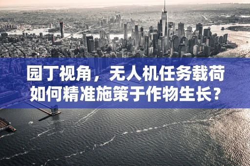 园丁视角，无人机任务载荷如何精准施策于作物生长？