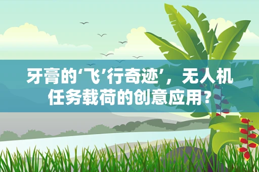 牙膏的‘飞’行奇迹’，无人机任务载荷的创意应用？