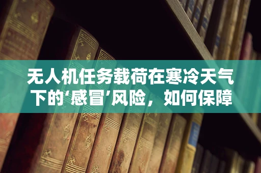 无人机任务载荷在寒冷天气下的‘感冒’风险，如何保障其稳定运行？