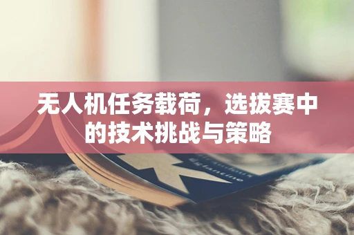 无人机任务载荷，选拔赛中的技术挑战与策略