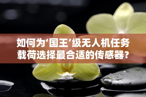 如何为‘国王’级无人机任务载荷选择最合适的传感器？