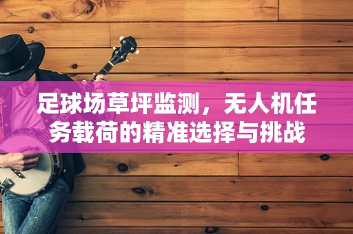 足球场草坪监测，无人机任务载荷的精准选择与挑战