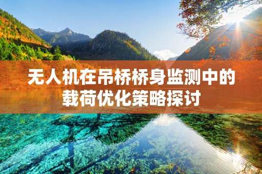 无人机在吊桥桥身监测中的载荷优化策略探讨