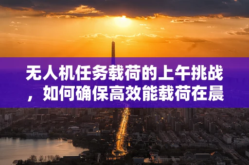 无人机任务载荷的上午挑战，如何确保高效能载荷在晨光中的稳定部署？