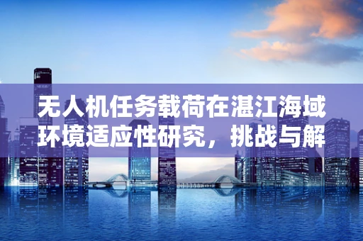 无人机任务载荷在湛江海域环境适应性研究，挑战与解决方案