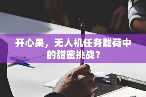 开心果，无人机任务载荷中的甜蜜挑战？