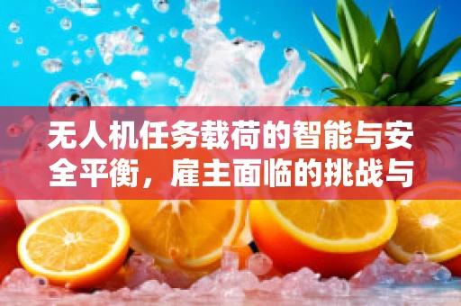 无人机任务载荷的智能与安全平衡，雇主面临的挑战与对策
