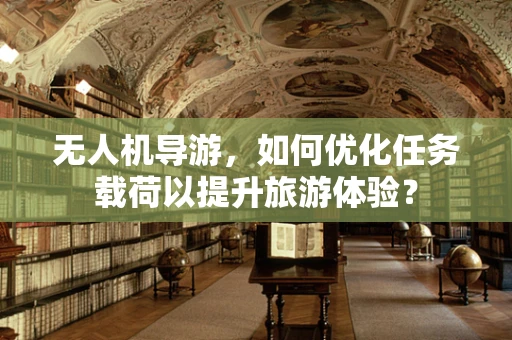 无人机导游，如何优化任务载荷以提升旅游体验？