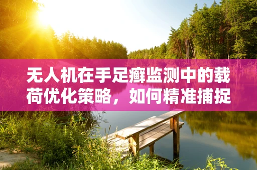 无人机在手足癣监测中的载荷优化策略，如何精准捕捉与高效传输？