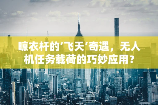 晾衣杆的‘飞天’奇遇，无人机任务载荷的巧妙应用？