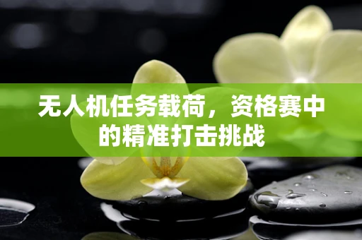 无人机任务载荷，资格赛中的精准打击挑战