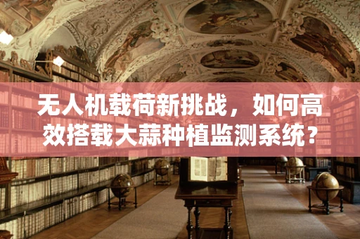 无人机载荷新挑战，如何高效搭载大蒜种植监测系统？