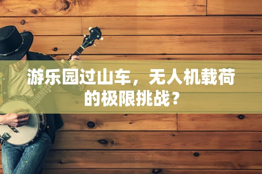 游乐园过山车，无人机载荷的极限挑战？