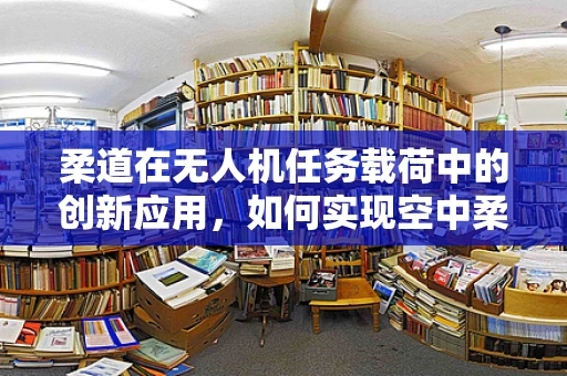 柔道在无人机任务载荷中的创新应用，如何实现空中柔术的精准操控？