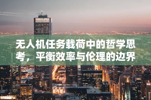 无人机任务载荷中的哲学思考，平衡效率与伦理的边界