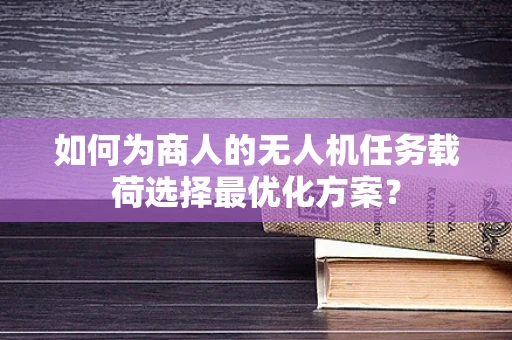如何为商人的无人机任务载荷选择最优化方案？