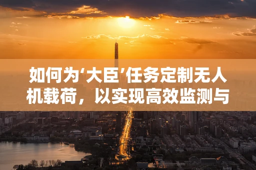 如何为‘大臣’任务定制无人机载荷，以实现高效监测与精准传输？