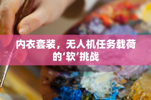 内衣套装，无人机任务载荷的‘软’挑战
