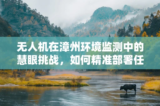 无人机在漳州环境监测中的慧眼挑战，如何精准部署任务载荷？