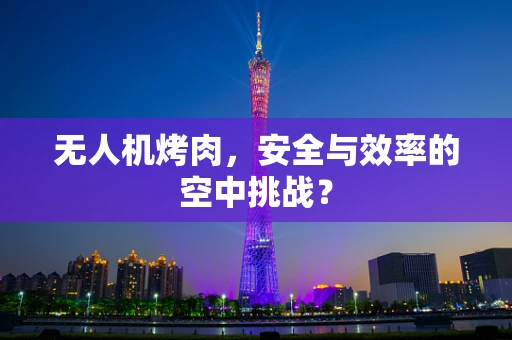 无人机烤肉，安全与效率的空中挑战？