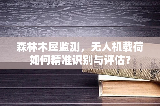 森林木屋监测，无人机载荷如何精准识别与评估？