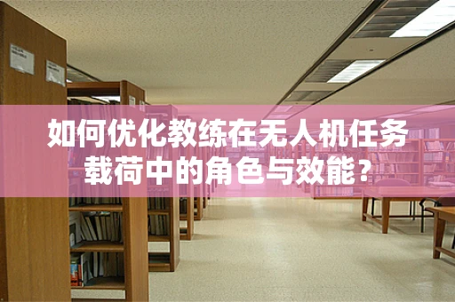 如何优化教练在无人机任务载荷中的角色与效能？