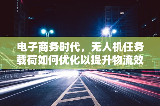 电子商务时代，无人机任务载荷如何优化以提升物流效率？