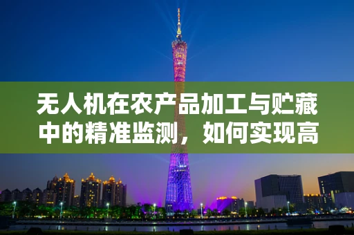 无人机在农产品加工与贮藏中的精准监测，如何实现高效载荷设计？