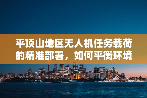 平顶山地区无人机任务载荷的精准部署，如何平衡环境挑战与任务效率？