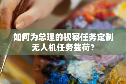 如何为总理的视察任务定制无人机任务载荷？
