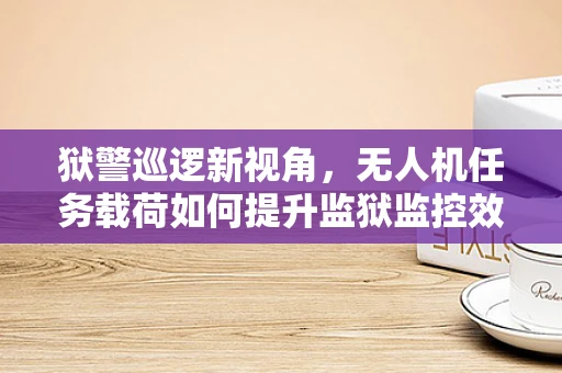 狱警巡逻新视角，无人机任务载荷如何提升监狱监控效率？