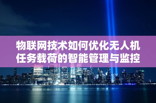 物联网技术如何优化无人机任务载荷的智能管理与监控？