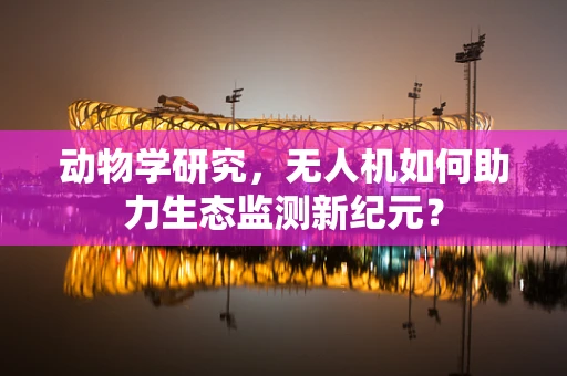 动物学研究，无人机如何助力生态监测新纪元？